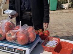 -甜心庄园·甜心草莓采摘园(西青中北店)