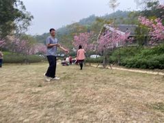-灵玲国际马戏城