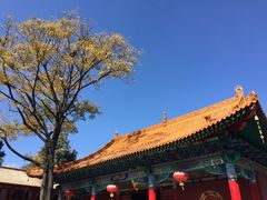 iphone_upload_pic-圆通禅寺