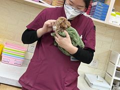 -美联众合动物医院·24h京西诊疗中心