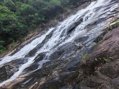 -广州白江湖森林公园