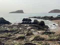 -棒棰岛宾馆景区