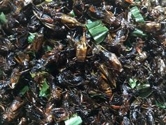 -席娜卡琳火车铁道夜市