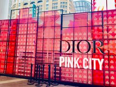 -Dior迪奥(上海世茂广场店)