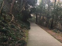 -赭山公园