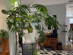 -一尺花园(安和花园店)