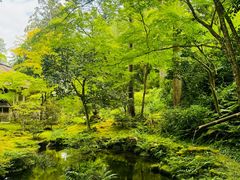 -三千院