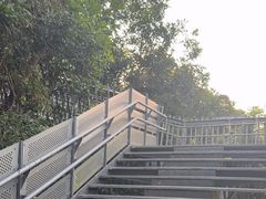 -福道