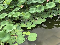 -长春世界雕塑园冰雪艺术天地