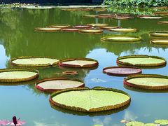 -国家植物园南园