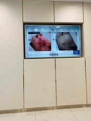 -贞禾医美·连锁