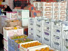 -西郊国际农产品交易中心