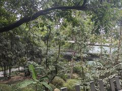 -福道