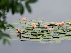-白鹭湾湿地公园