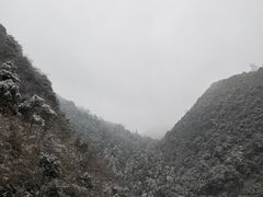 -武陵山森林公园