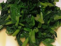 鸡油豆苗-禧宴Joyous Restaurant(禧园店)