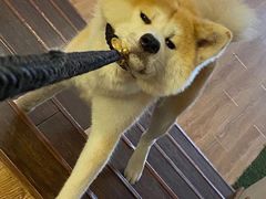 -YCHL Studios健身工作室(市二宫店)