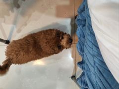 -老太婆饭店(广义路店)