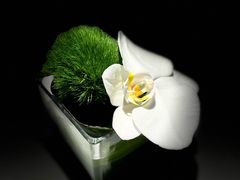 -茉里观邸(民国洋楼店)