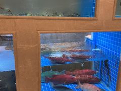 -皇朝尊会(龙之梦大酒店)