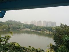 -东莞植物园