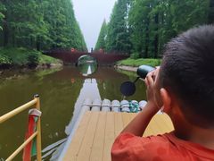 -黄海国家森林公园