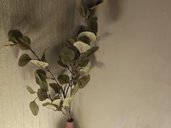 -禧瑞 ·丝浴主题·水疗·spa(中山公园店)