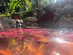 -湖泉半山温泉(湖泉生态园)