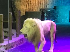 -清迈夜间动物园