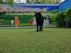 -宠物寄养训练学校