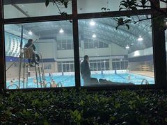泳池-沈坚强游泳俱乐部(长征分部)