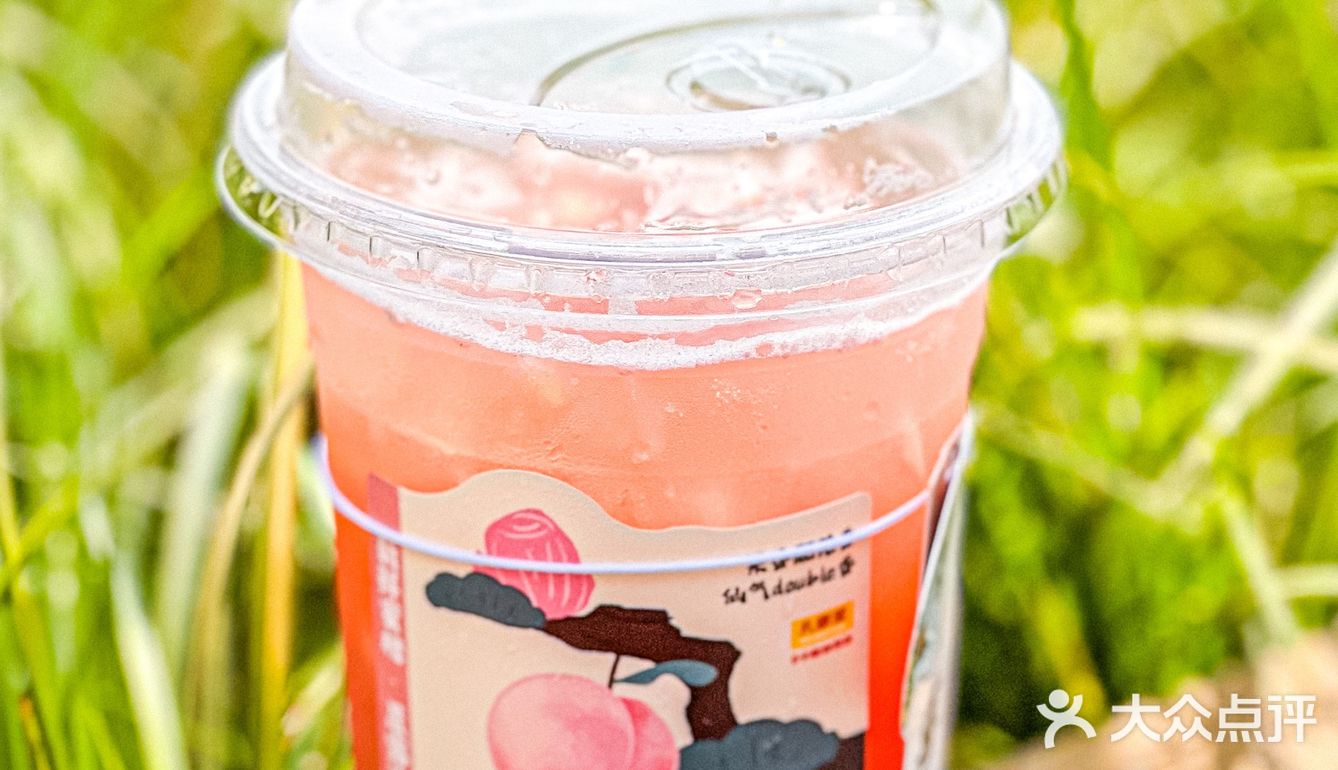 刘耕宏女孩的福音‼️好喝不胖0卡糖鲜果茶