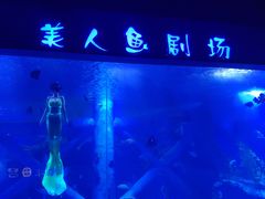 -临沂极地海洋王国