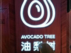 -油梨树AVOCADO TREE(嘉里中心店)