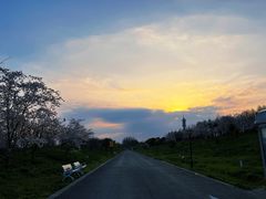 -上海国际音乐村