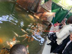 -荆州中山公园动物园