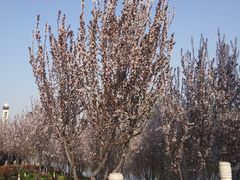 -西安汉城湖景区