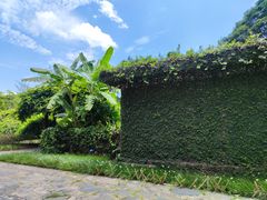 -中国科学院西双版纳热带植物园