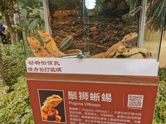 -南宫五洲植物乐园