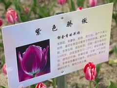 -院士公园