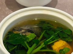 西洋菜鳕鱼胶乌鸡汤-九里云松·天香餐厅