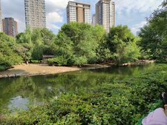 -长白岛森林公园