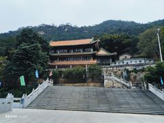 -南海湾森林生态园
