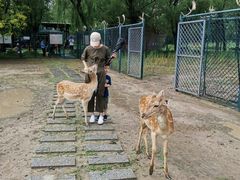 -北京麋鹿生态实验中心