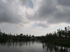 -上海长兴岛郊野公园