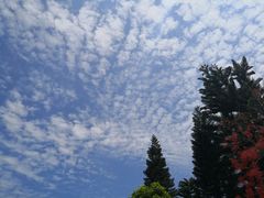 -广州市流溪河国家森林公园