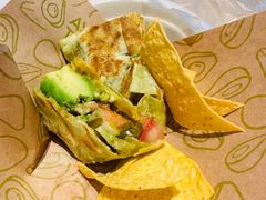 -油梨树 AVOCADO TREE(亮马桥店)