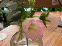 -gaga(深圳福田星河COCO Park店)