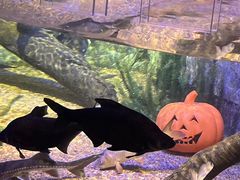 -沈阳海洋探索中心