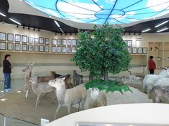 -亿利库布其七星湖沙漠生态旅游区